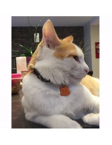BILBO
