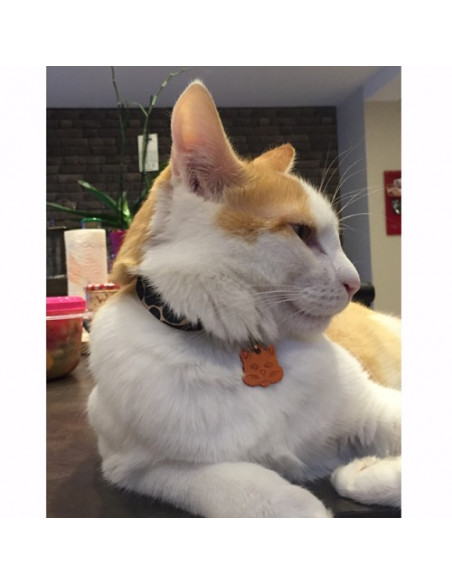 BILBO