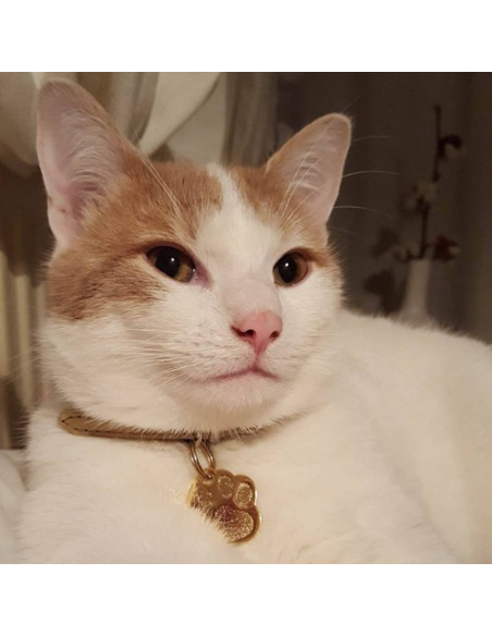 Médaille en forme de patte de chat dorée brillante - Cocooning