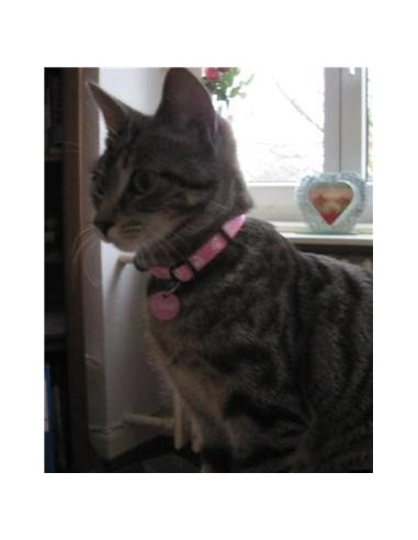 Chloé et sa médaille ronde rose