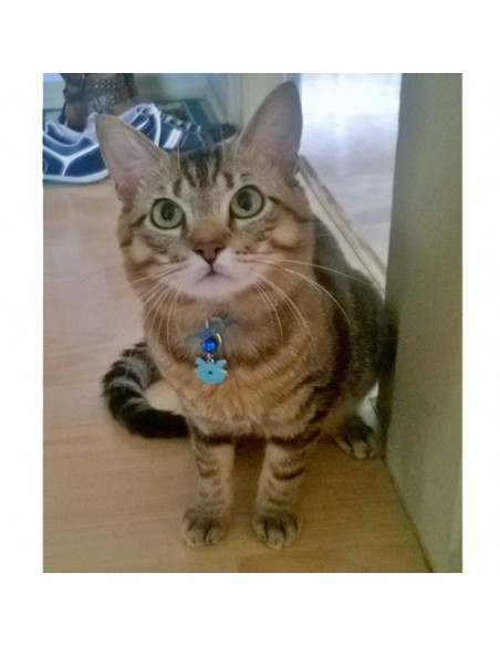 Médaille forme de Chat Zen Bleu - Dodi
