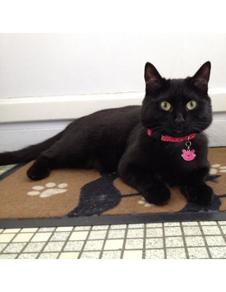 forme de médaille Zen rose pour chat - Louna