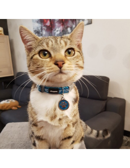 Chipie - Médaille RED DINGO turquoise à paillettes motif patte de chat 2cm