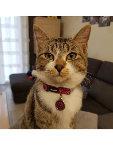 Maya - Médaille rose à paillettes avec patte de chat 2cm