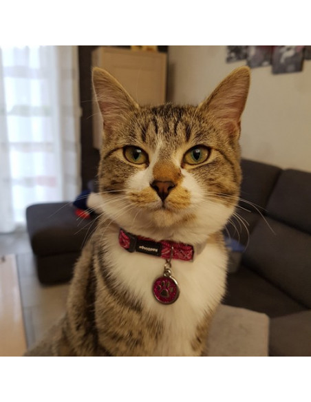 Maya - Médaille rose à paillettes avec patte de chat 2cm