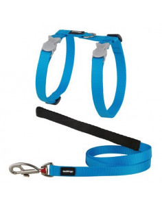 Harnais + laisse turquoise Red Dingo spécial chat