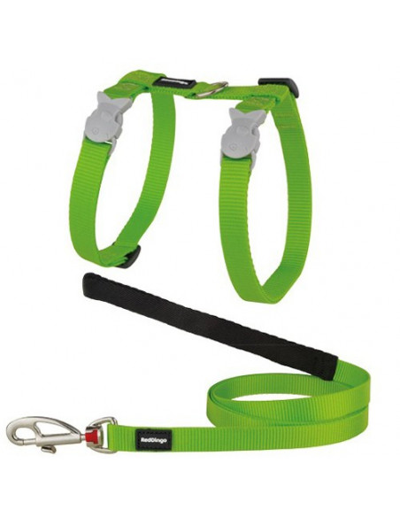 Harnais + laisse verte Red Dingo