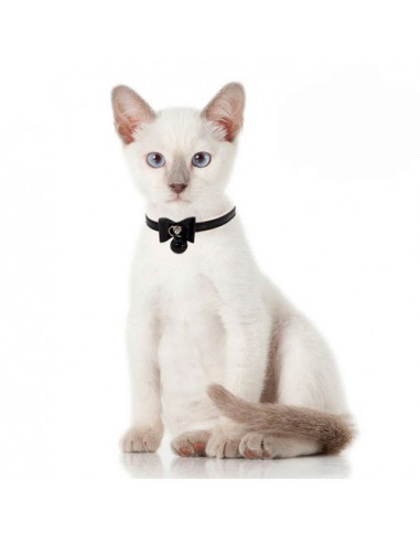Collier pour chat élégant Doogy Butterfly - La Boutique à Pierrot