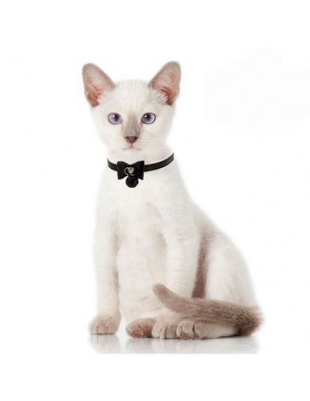 Collier pour chat élégant Doogy Butterfly - La Boutique à Pierrot