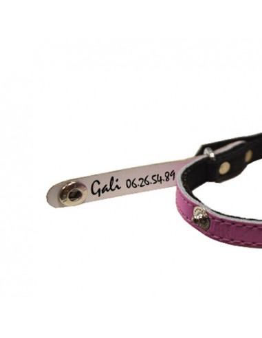 Collier Chat Et Porte Adresse Paillete La Boutique A Pierrot