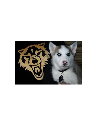 Médaille pour chien "Ballon de Rugby"...