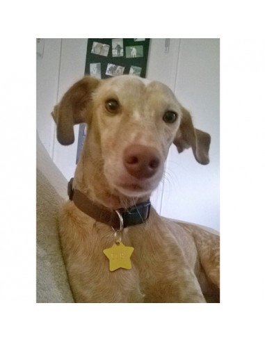 Médaillon forme Etoile doré GM -  Cuba