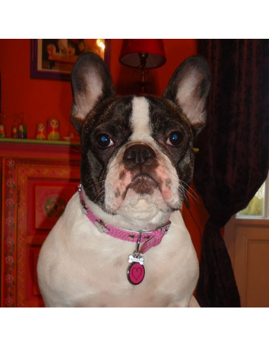 Médaille chien Red Dingo cœur tribal 3cm - La Boutique à Pierrot