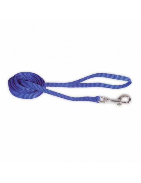 Laisse bleue Doogy basic pour chien