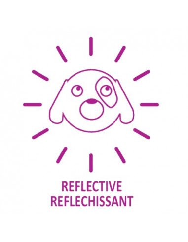 Laisse pour chien "Safe" Bobby