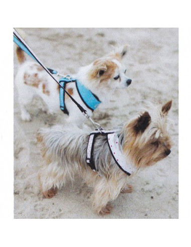 Laisse pour chien "Good Dog" Doogy