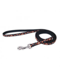 Laisse Doogy noire avec...