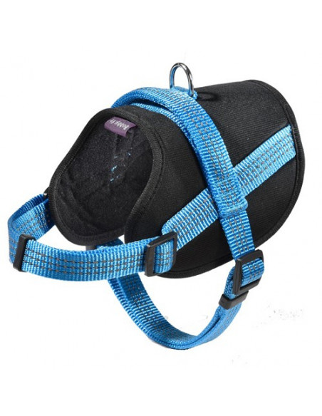 Harnais bleu Bobby