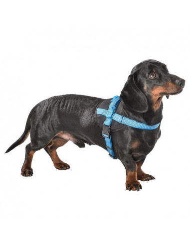 Harnais pour chien réfléchissant...