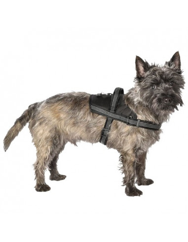Harnais pour chien réfléchissant...