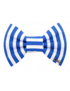 Noeud Papillon à Rayures...