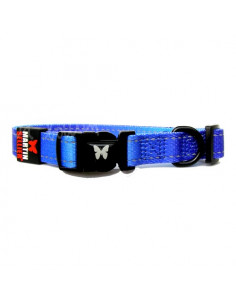 Collier bleu Martin Sellier pour chien