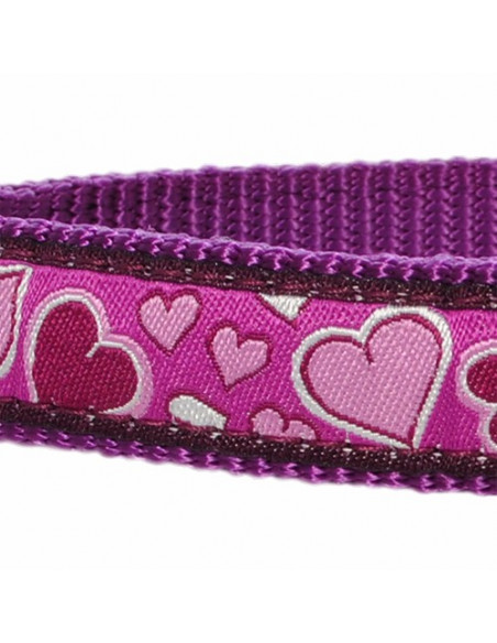 Collier pour chien Red Dingo breezy violet