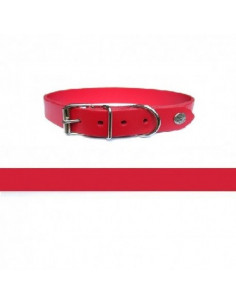 Collier pour chien en cuir rouge à personnaliser