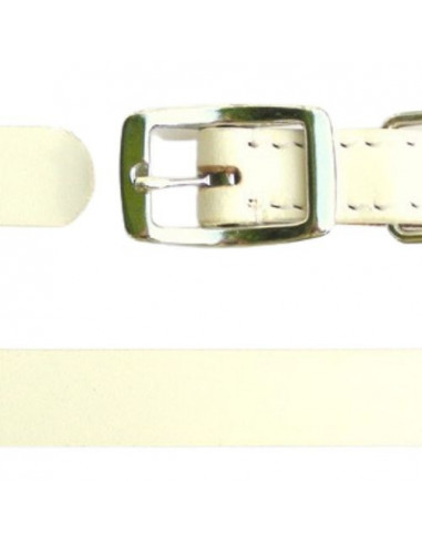 Collier pour chien personnalisable...