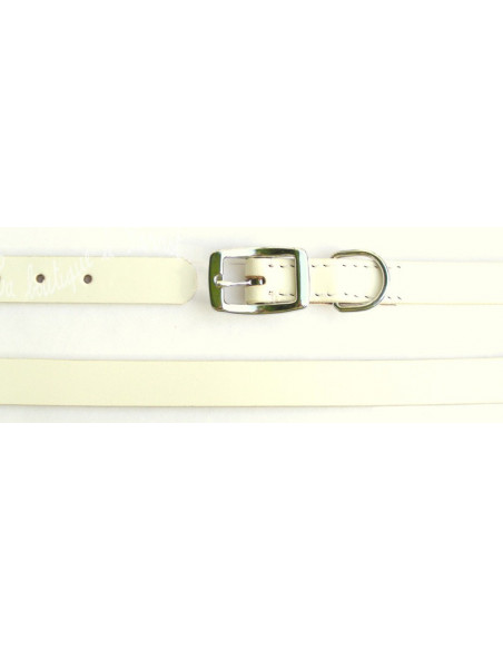 Collier blanc pour chien avec boucle en acier inoxydable chromée