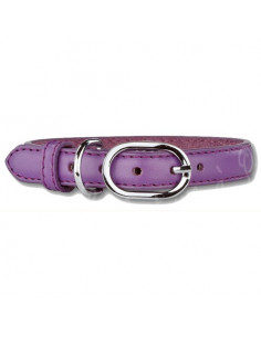 Collier en cuir violet pour chien d'excellente qualité