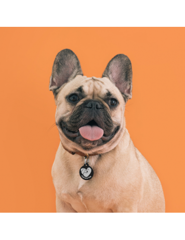 La Boutique à Pierrot - Médaille connectée pour chien et chat