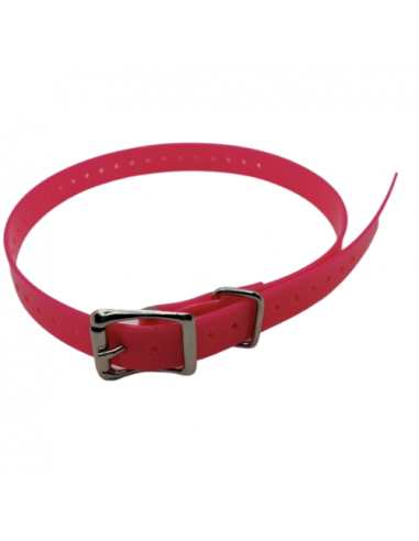 Collier imputrescible Rose pour chien