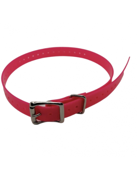 Collier imputrescible Rose pour chien