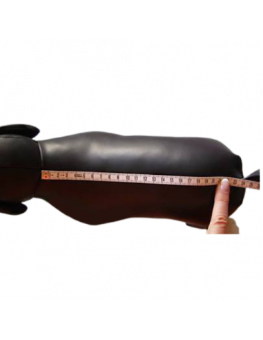 Pull pour chien bordeaux, Doogy