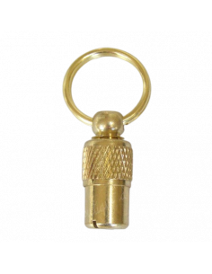 La Boutique à Pierrot - tube d'identité doré pour chien