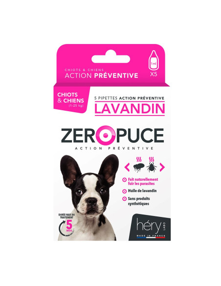 La boutique à Pierrot - ZEROPUCE LAVANDIN