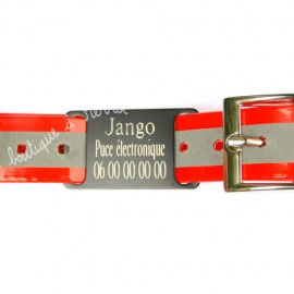 Collier rouge et gris pour chien avec plaque gravée