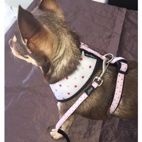 Hombre et sa laisse pois roses