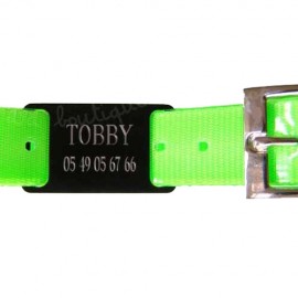 Collier vert avec plaque à graver pour chien