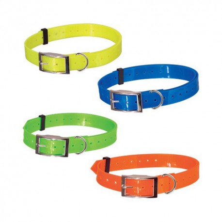 Collier chien réglable avec boucle en acier inoxydable