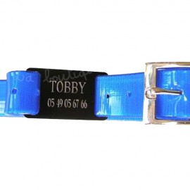 Collier bleu avec plaque gravée pour chien