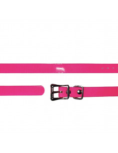 Collier imputrescible Rose pour chien