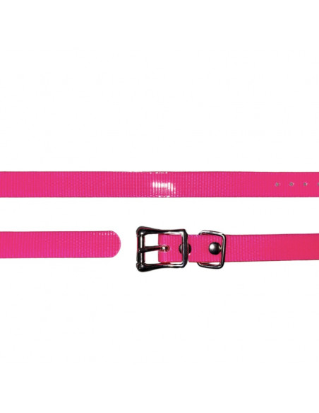 Collier imputrescible Rose pour chien