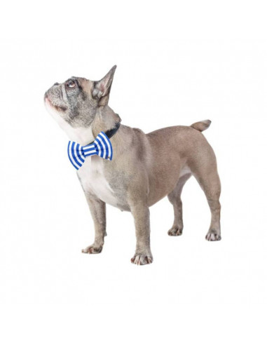 Noeud Papillon à Rayures pour chien...